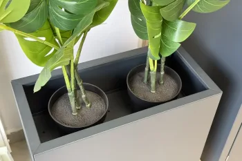 Polica za cvetlično korito 30×30 cm z dvema loncema